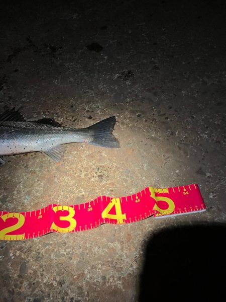 一時間だけのタイムアタック