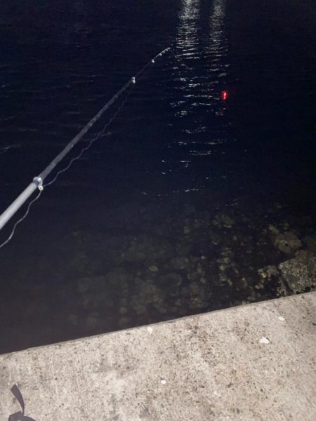 ハッピーニューイヤーは新釣法で!