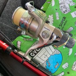 朝マズメのアジ釣りで尺オーバーGET