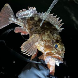 爆風ライトワインド