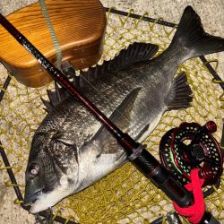 ヘチってきました