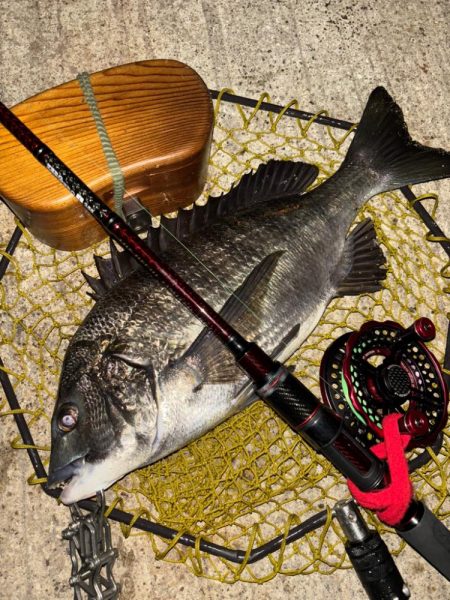 ヘチってきました