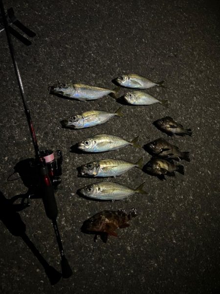 仕事終わりにアジング