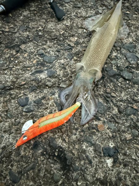 初心者でも釣れた😱