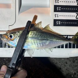 やっとこさ! 笑笑