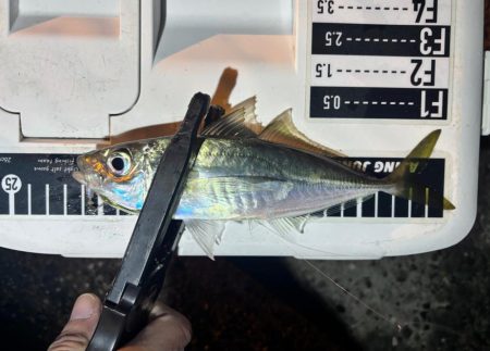 やっとこさ! 笑笑