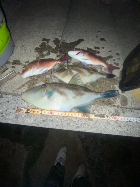 まさかのアジ　0匹………