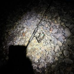 フロートアジング