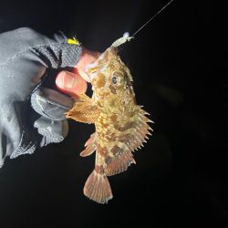 ライトロックゲーム