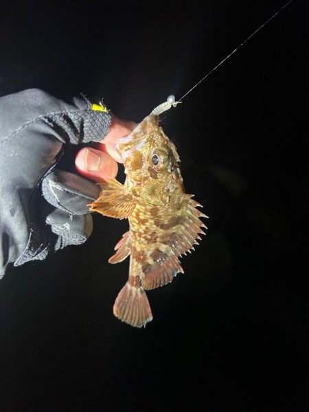 ライトロックゲーム