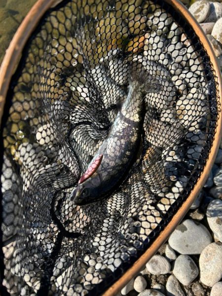 北方マス釣り場へ