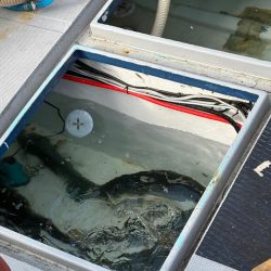 ジギングイベント参加