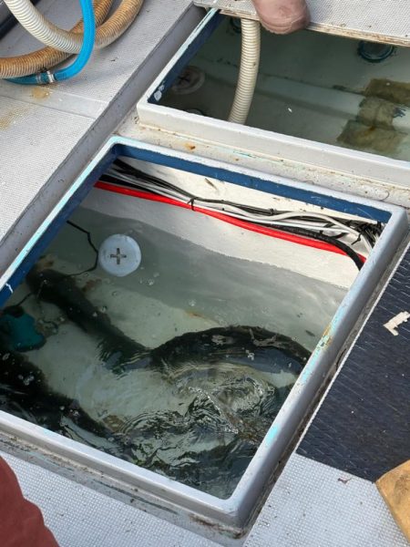 ジギングイベント参加