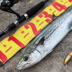 どうも渋い中、、なんとか一本