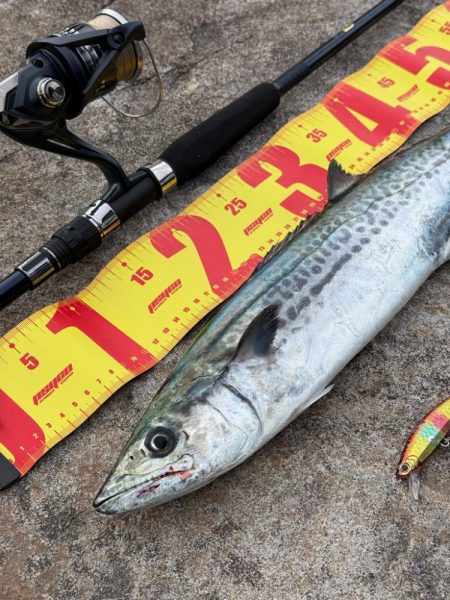 どうも渋い中、、なんとか一本