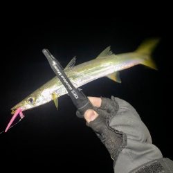 アジングつ抜け