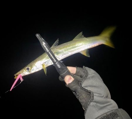 アジングつ抜け