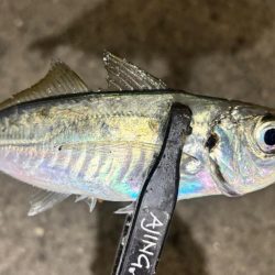 やっとこさ!2 笑笑