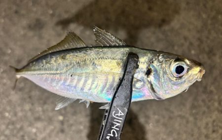 やっとこさ!2 笑笑