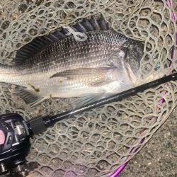 仕事帰り10分チニングチャレンジ！