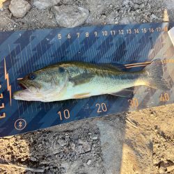 温かくなったら…😁