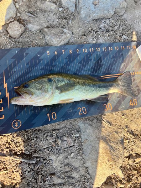 温かくなったら…😁