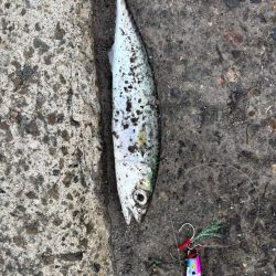 久しぶりのヒット