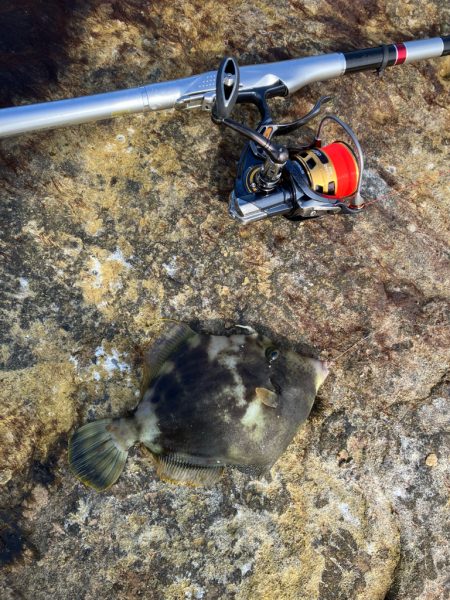 磯フカセ釣り