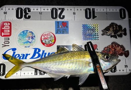 シーズンラストアジング？