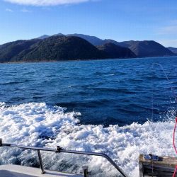 冬旬メダイ釣りですが・・・。