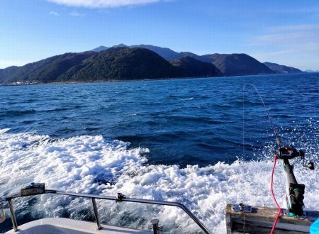 冬旬メダイ釣りですが・・・。