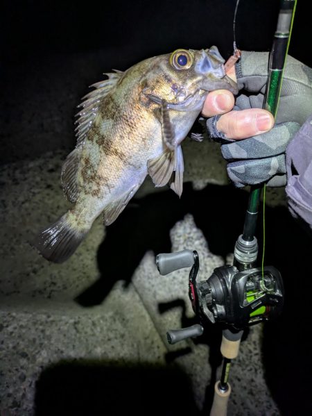 タフコンメバリング