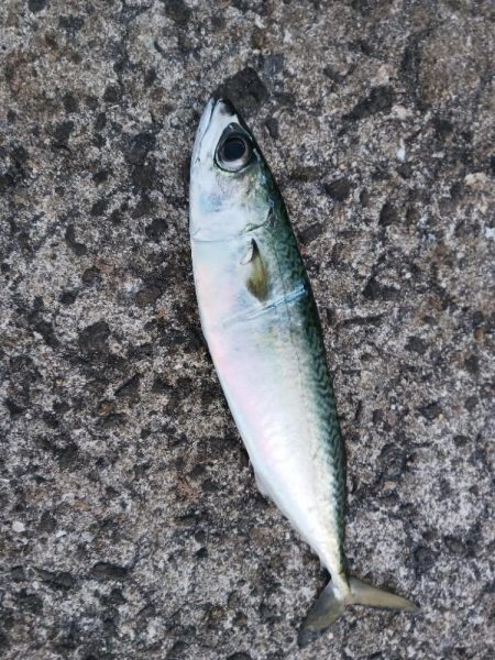 フロートアジング