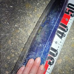 潮目的には微妙かなと思ってましたが