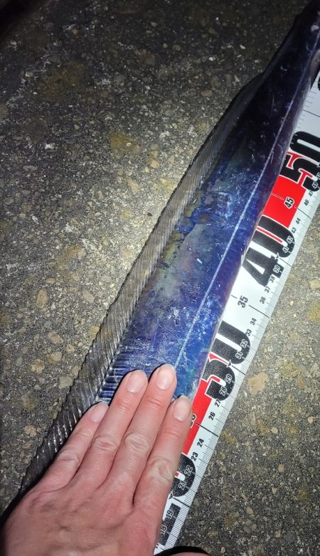 潮目的には微妙かなと思ってましたが