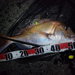 チニングでショアレッド！