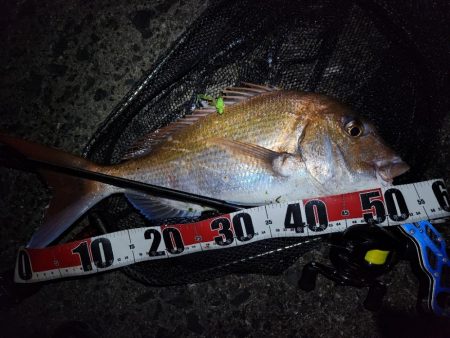 チニングでショアレッド！