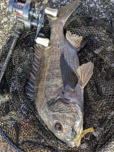 広島敷石チニング