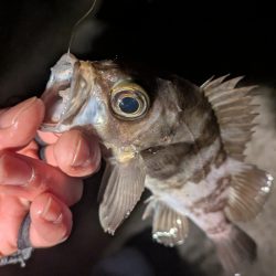 寝付けないのでちょっと海まで