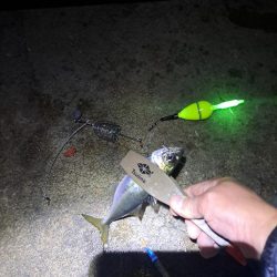 やっぱりカゴ天秤