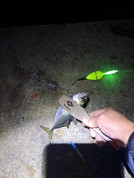 やっぱりカゴ天秤