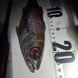 地合い30分で…