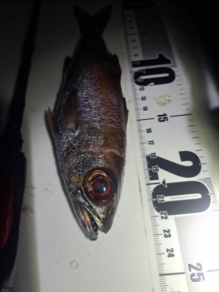 地合い30分で…