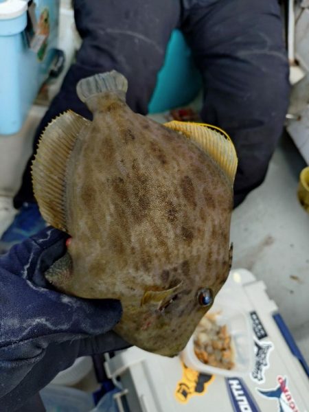 25年釣り始めは船カワハギ