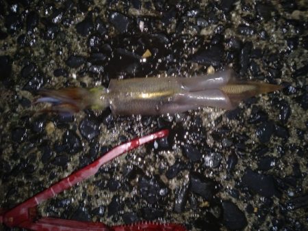 水温低くなってきた