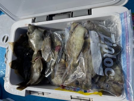 やっとプライベートでカワハギ釣りに行けまし…