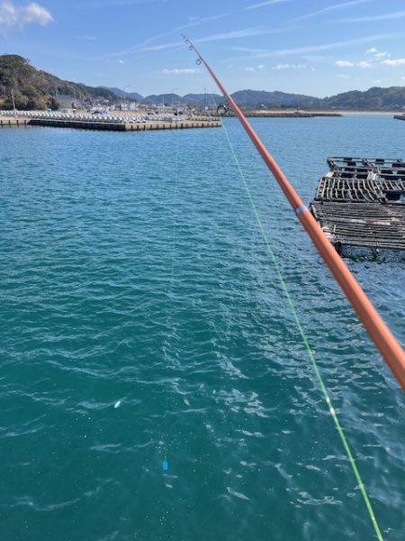 アジのサビキ釣りやってきました