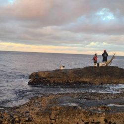 和歌山市江(吉丸渡船)でグレ釣り