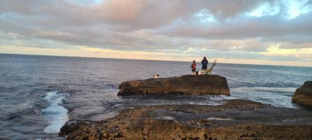 和歌山市江(吉丸渡船)でグレ釣り