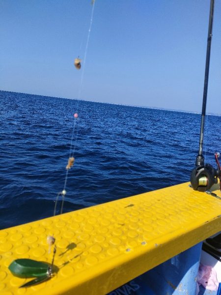 カワハギ釣り　島きち丸